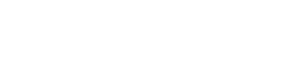 shopify logo